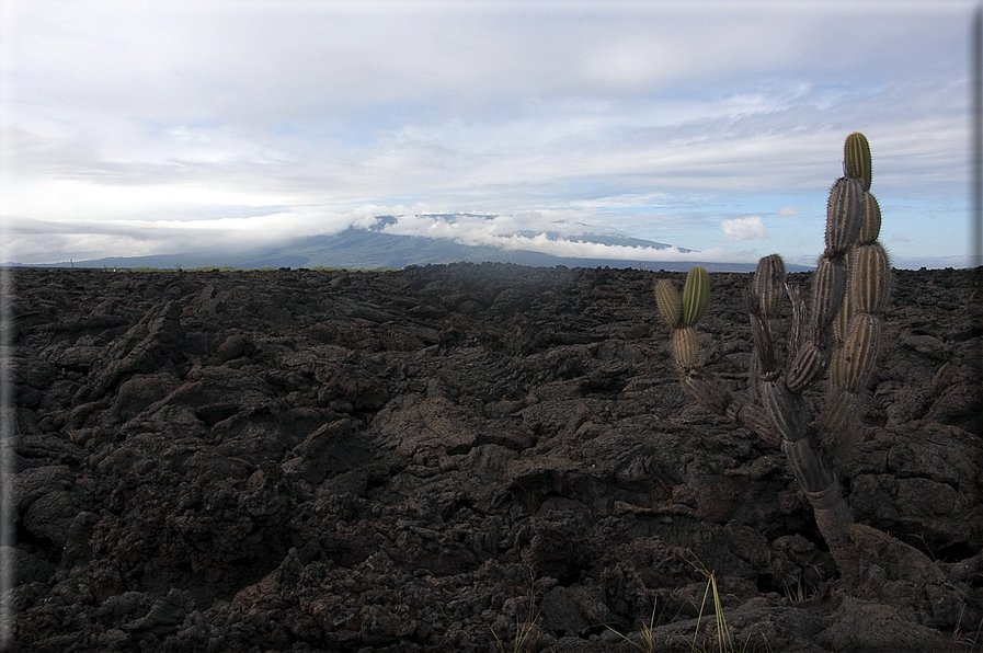 foto Isole Galapagos